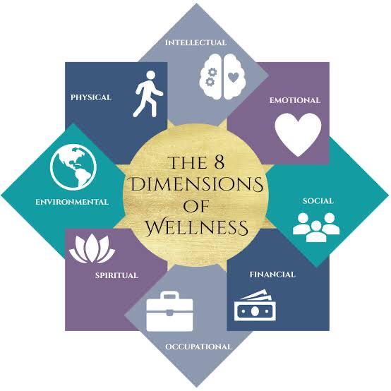 The Eight Dimensions of Wellness That Must Be Incorporated Into Your Recovery